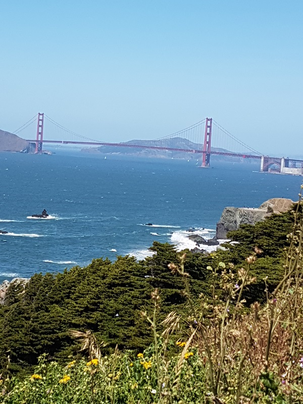 Lands End Golden Gate Bridge