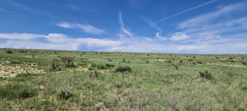 Comanche Grasslands