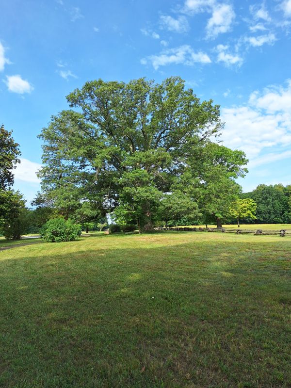 Appomattox Battlefield