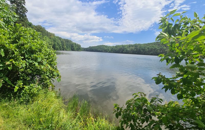 Holliday Lake State Park