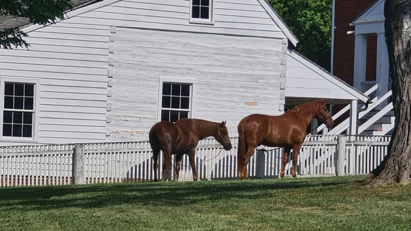 Appomattox Living History