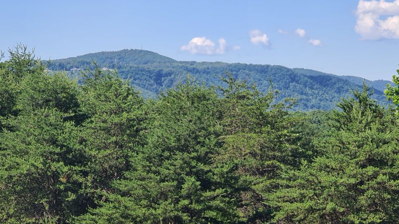 Blue Ridge Parkway