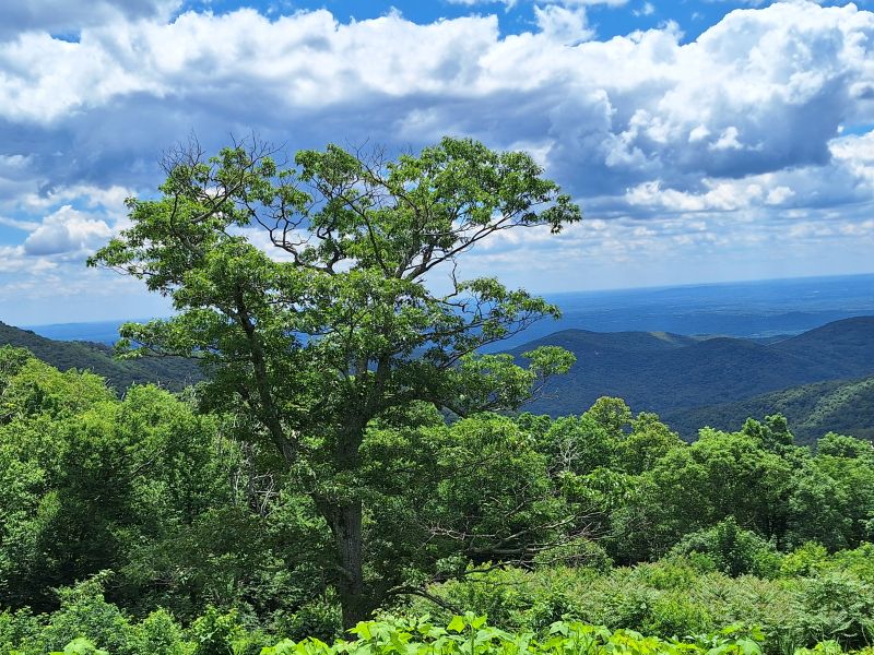 Blue Ridge Parkway