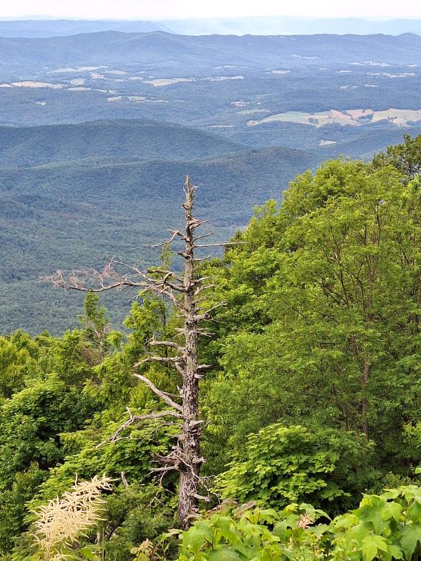 Blue Ridge Parkway