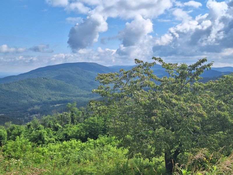 Shenadoah National Park