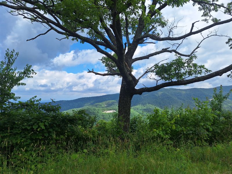 Shenadoah National Park