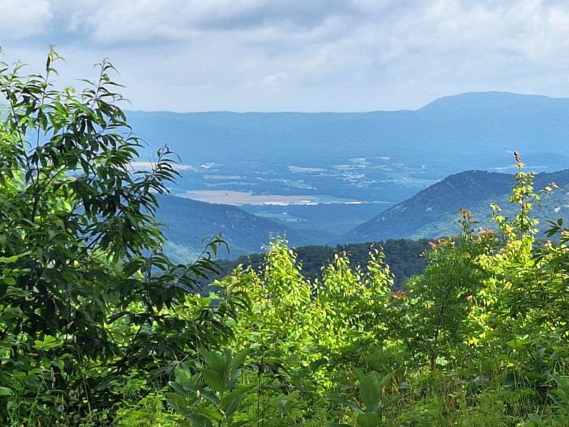 Shenadoah National Park