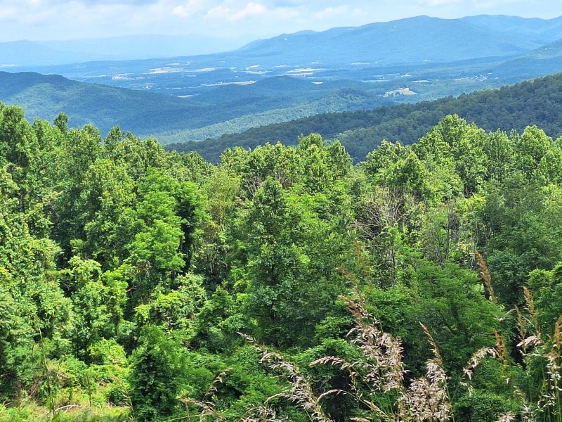 Shenadoah National Park