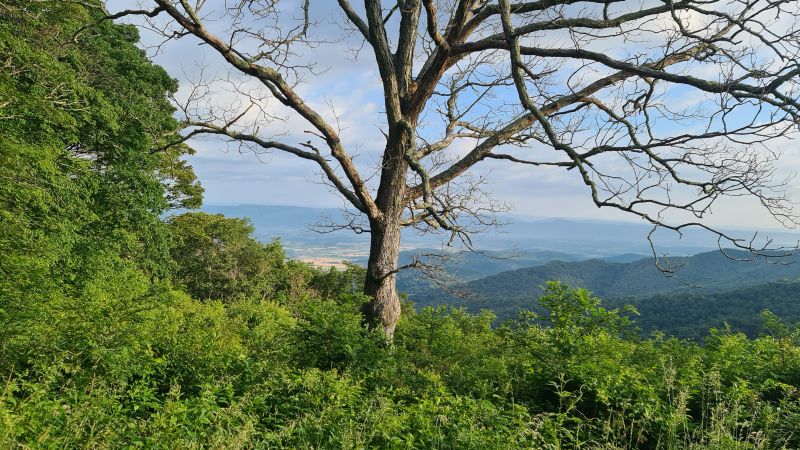 Shenadoah National Park