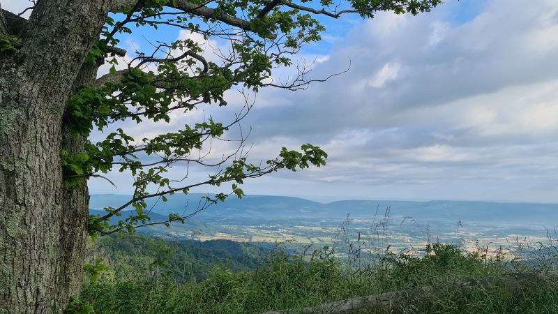 Shenadoah National Park