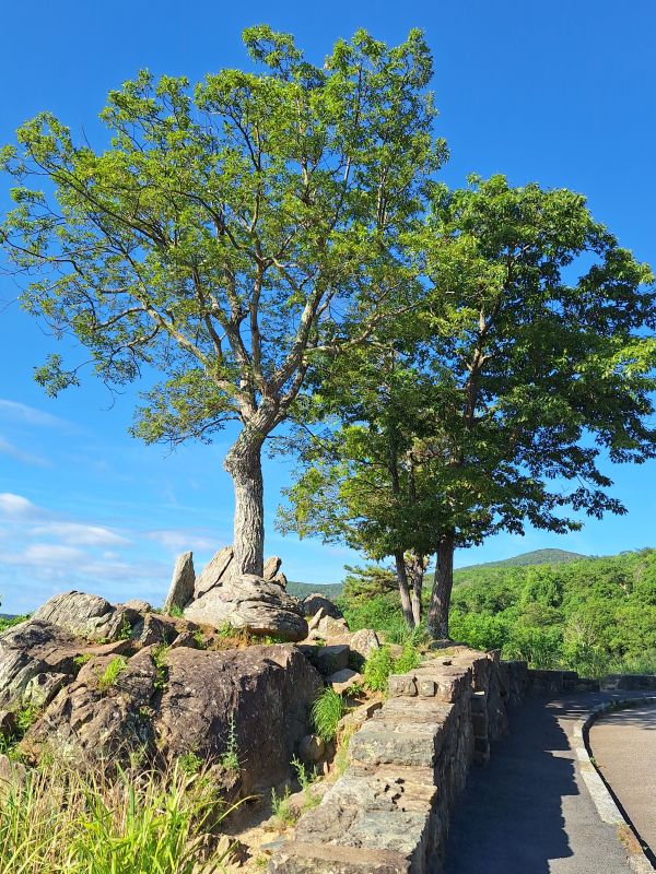 Shenadoah National Park