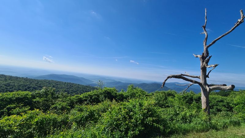 Shenadoah National Park