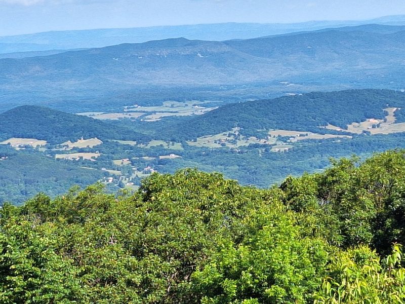 Shenadoah National Park