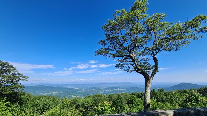 Shenadoah National Park