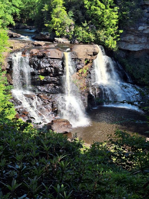 >Blackwater Falls