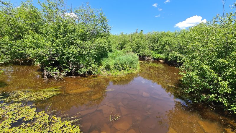 Canaan Valley