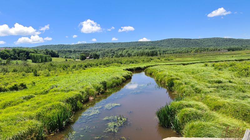 Canaan Valley