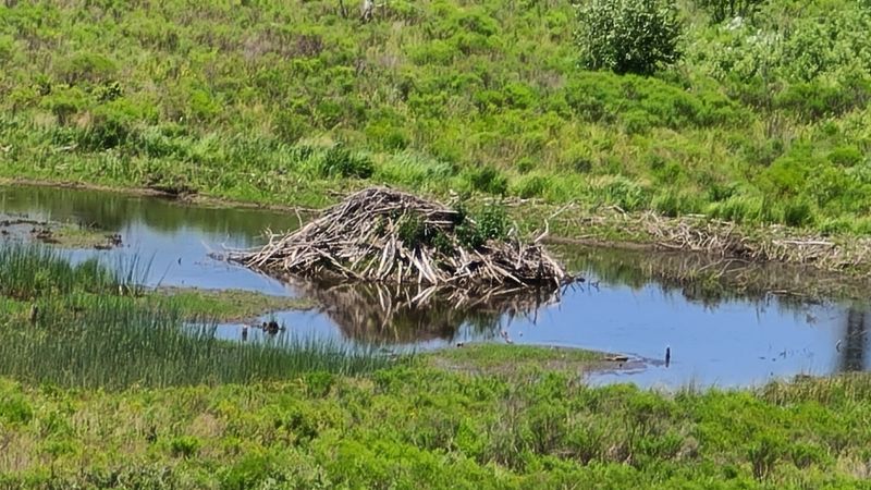 Canaan Valley