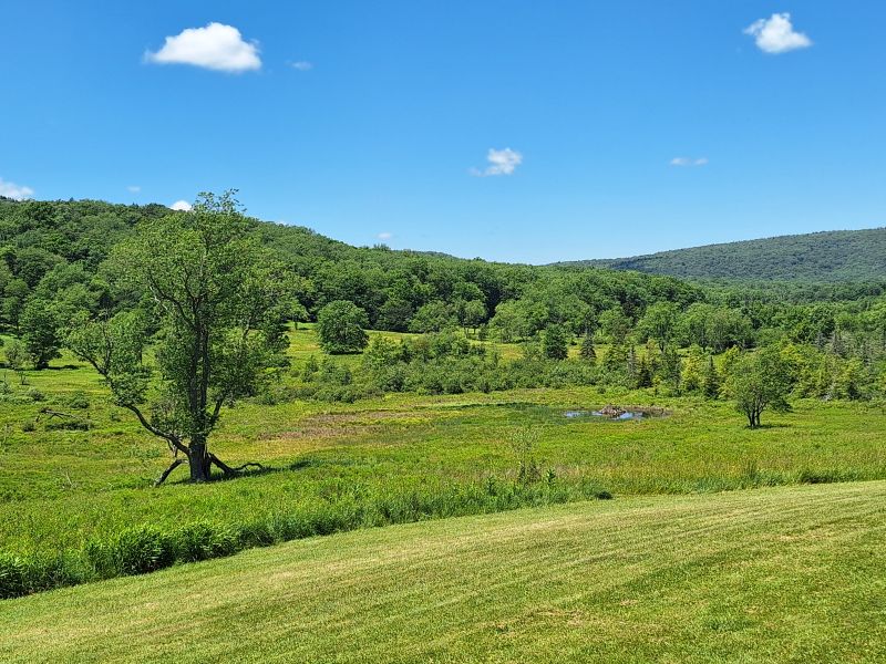 Canaan Valley