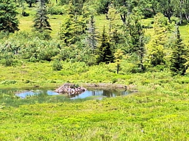 Canaan Valley