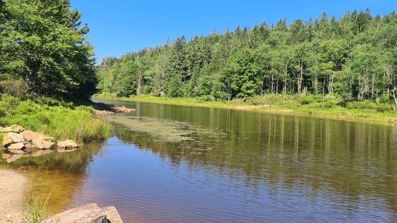 Pendleton Lake