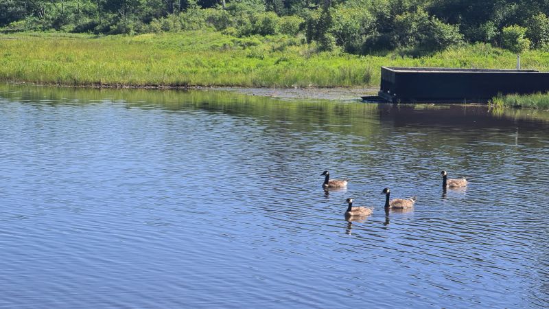 Pendleton Lake