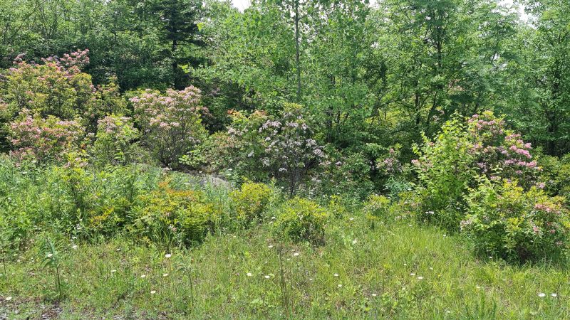 Highland Scenic Highway