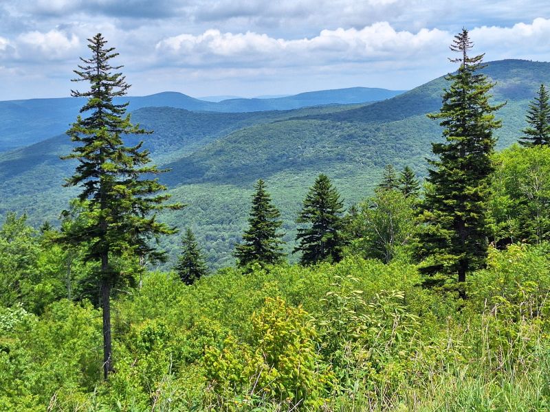 Highland Scenic Highway