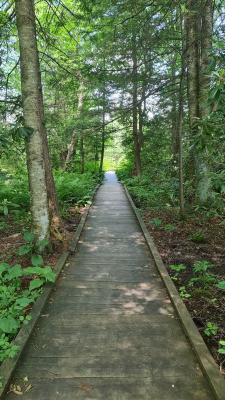 Highland Scenic Highway