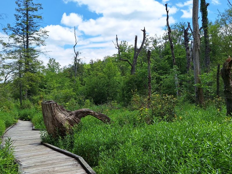 Highland Scenic Highway