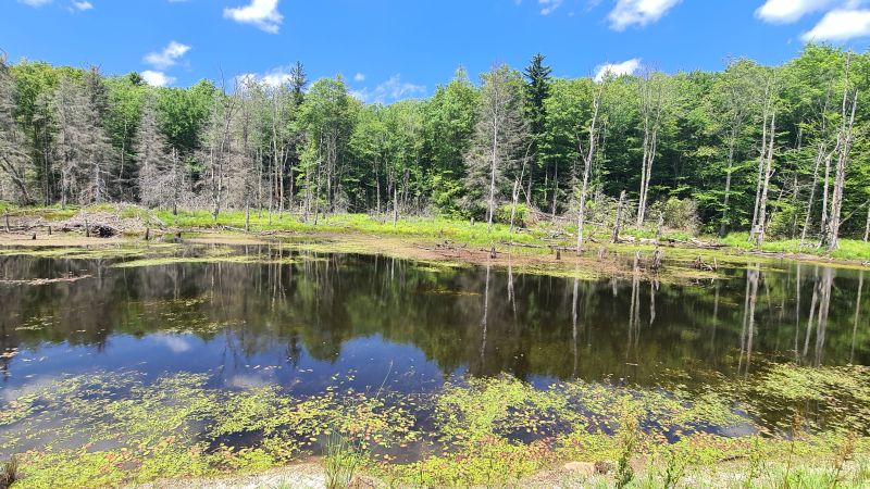 Highland Scenic Highway