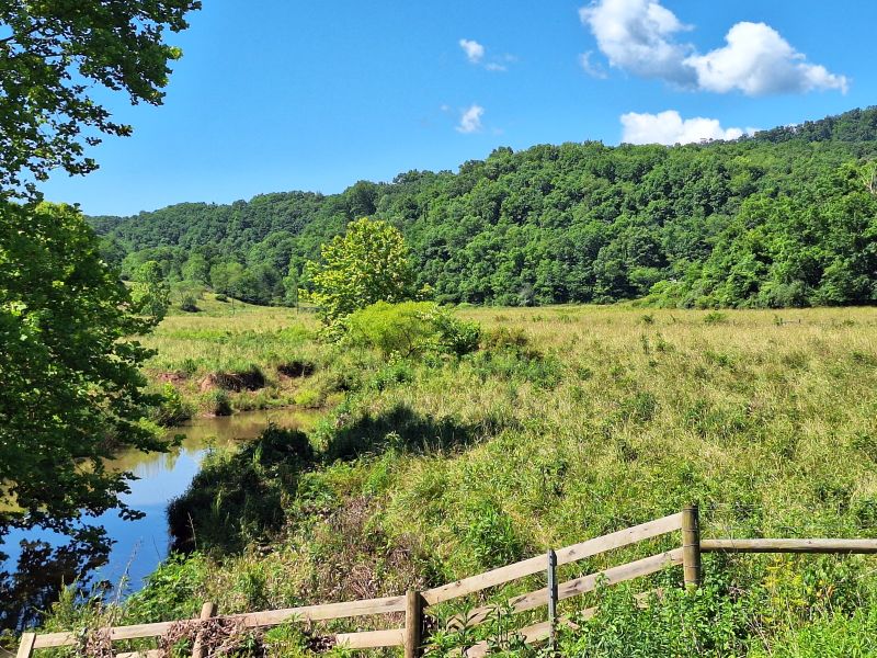 Blue Sulphur Springs