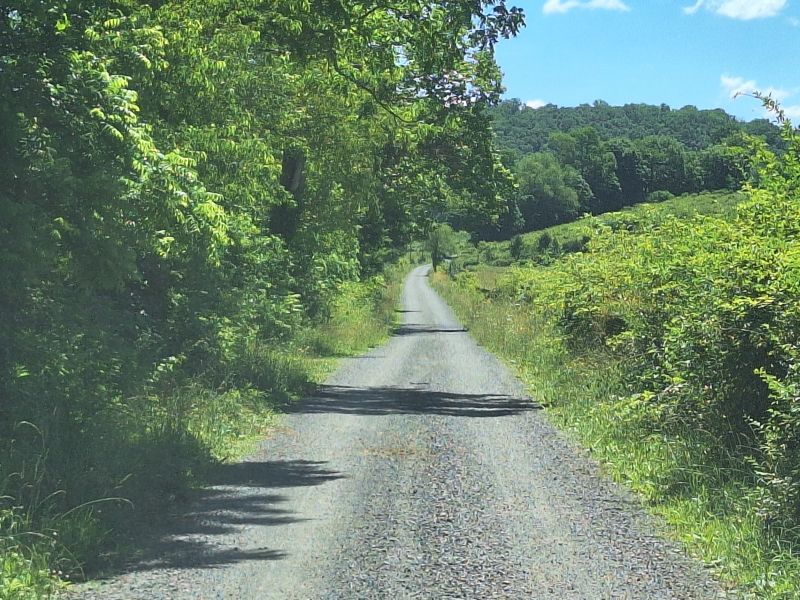 Blue Sulphur Springs