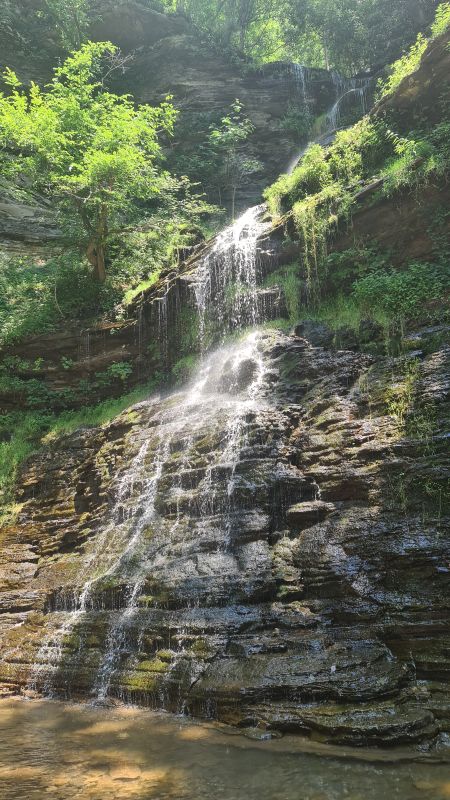 Cathedral Falls