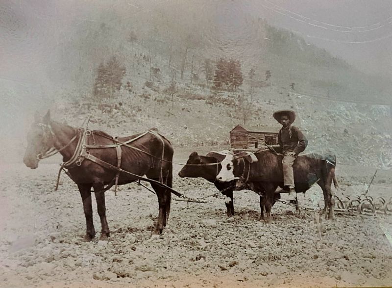 Chief Logan State Park