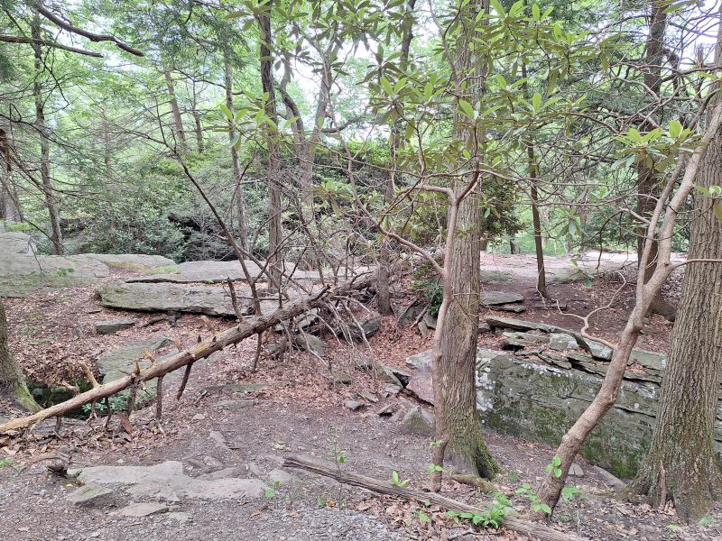 Coopers Rock