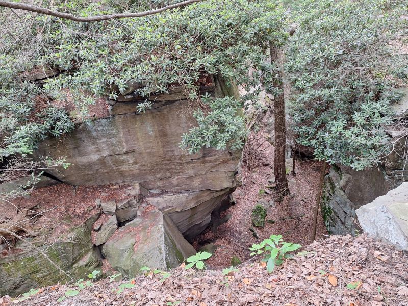 Coopers Rock