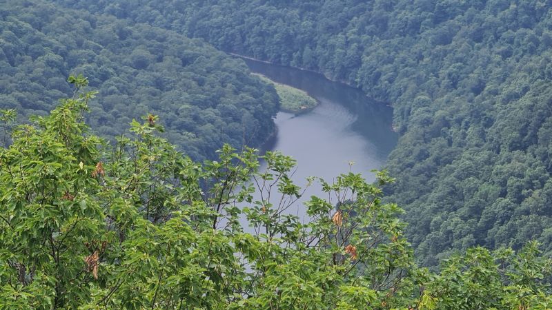 Coopers Rock