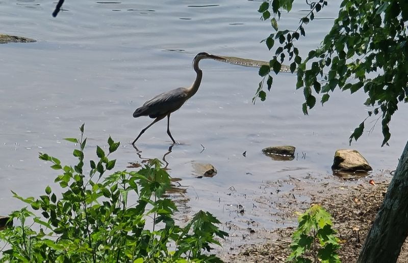 Seneca Creek